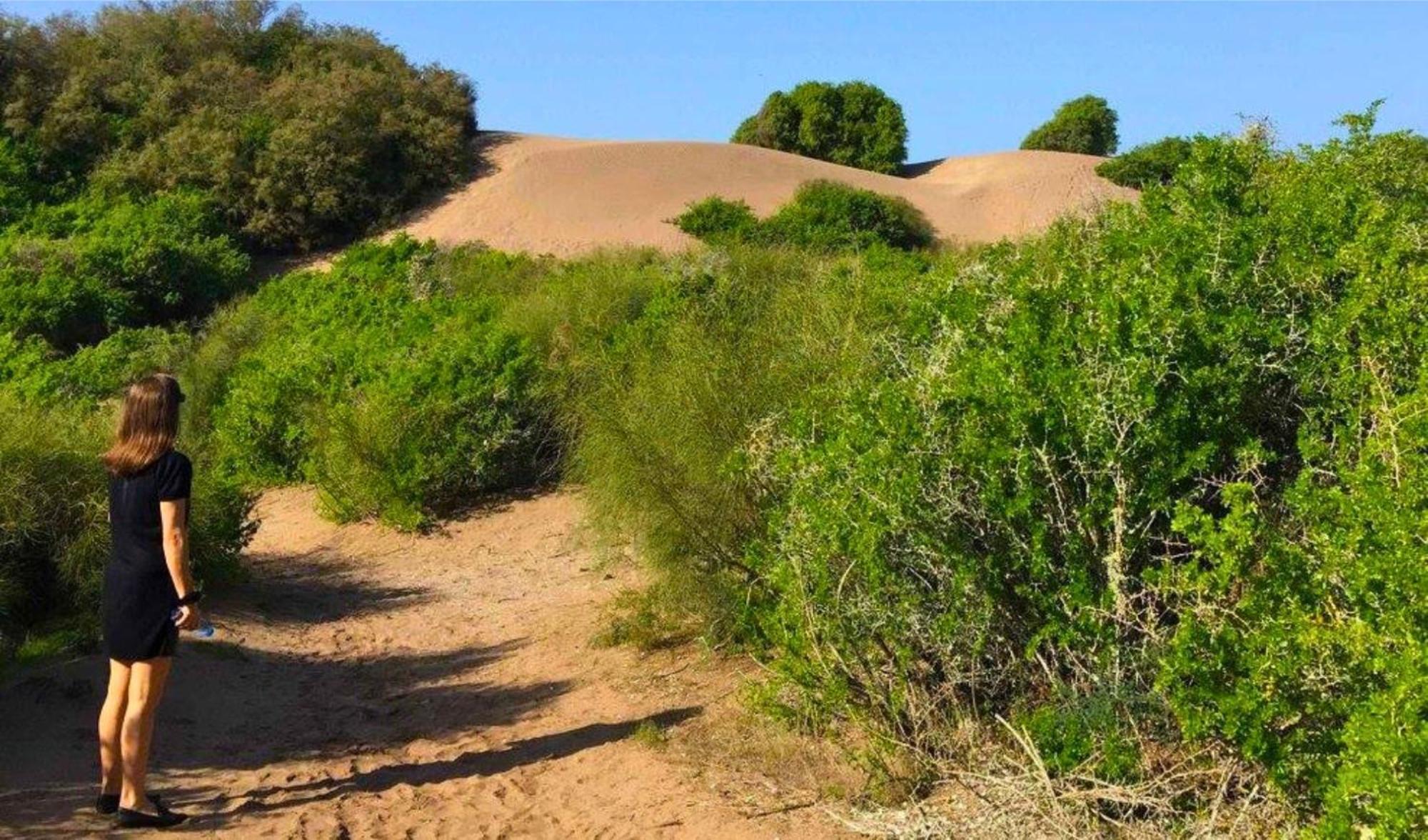 فندق Dar De Santis أزمور المظهر الخارجي الصورة