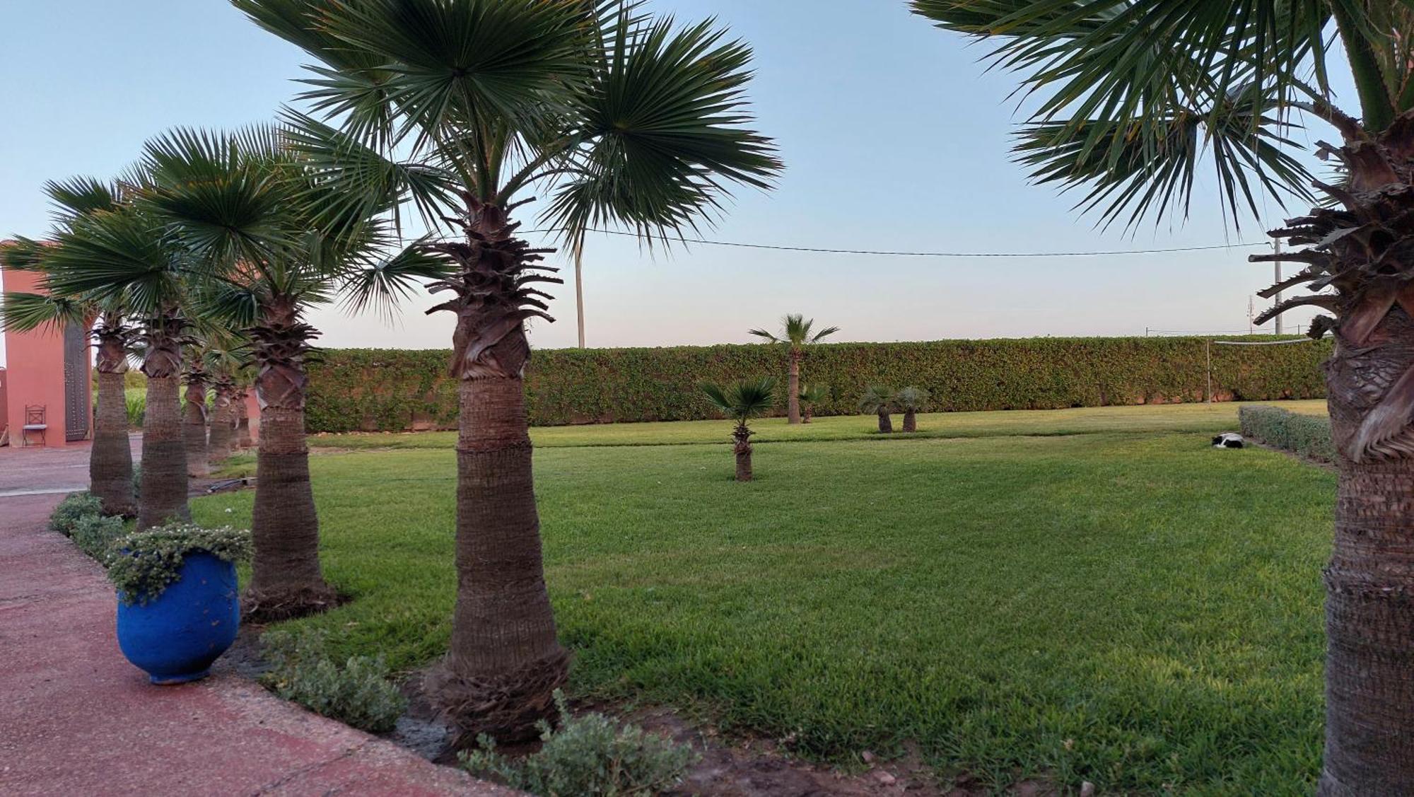 فندق Dar De Santis أزمور المظهر الخارجي الصورة